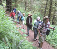 Hiking