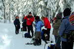 Snowshoeing