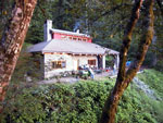 Nesika